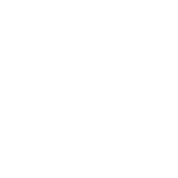 Zuru Toys