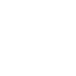 Zydus Group